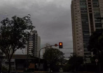Mais chuva? Mato Grosso do Sul pode registrar 50 milímetros nesta sexta-feira