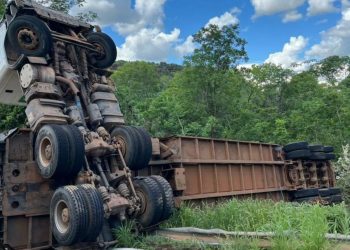 Caminhão boiadeiro tomba e animais ficam espalhados na MS-233 em Figueirão