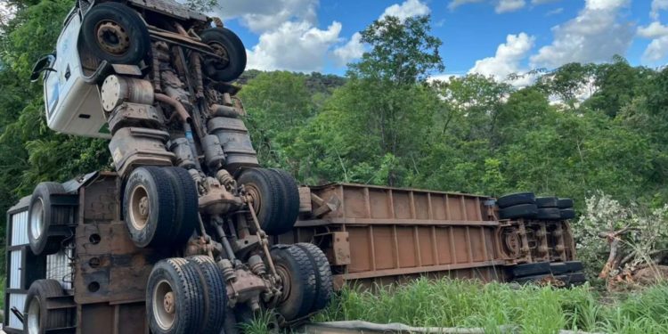 Caminhão boiadeiro tomba e animais ficam espalhados na MS-233 em Figueirão