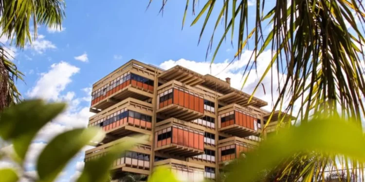 Artistas de MS com mais de 60 anos serão premiados com ‘Pioneiros das Artes’ em MS