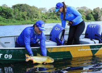 Pesca do Dourado segue proibida em Mato Grosso do Sul