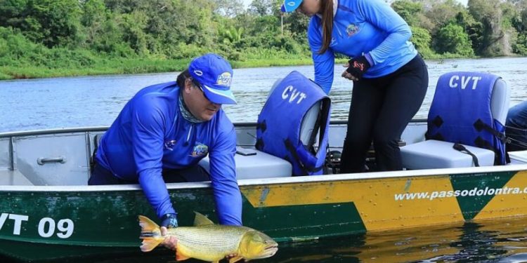 Pesca do Dourado segue proibida em Mato Grosso do Sul