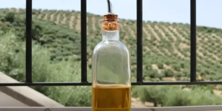 Anvisa proíbe venda de duas marcas de azeite