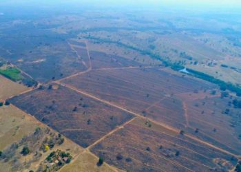 Incêndio de grandes proporções em Coxim devastou mais de 2 mil hectares; MPMS apura responsabilidade de empresa