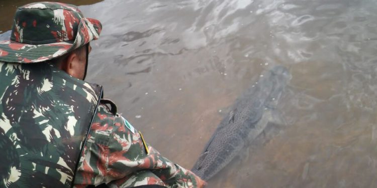 Piracema começa nesta quarta-feira em rios de Mato Grosso do Sul