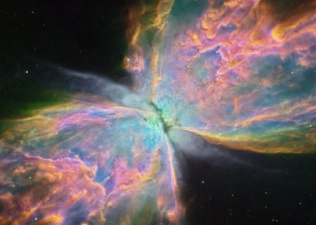 Horóscopo: saiba o que esperar para o seu signo nesta quinta-feira, dia 13