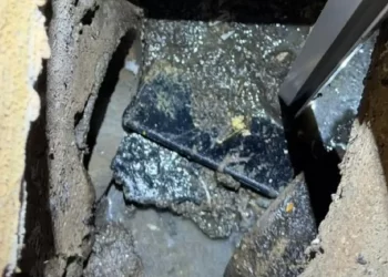 Celular de corretora morta por síndico em Goiás é encontrado em tubulação de prédio