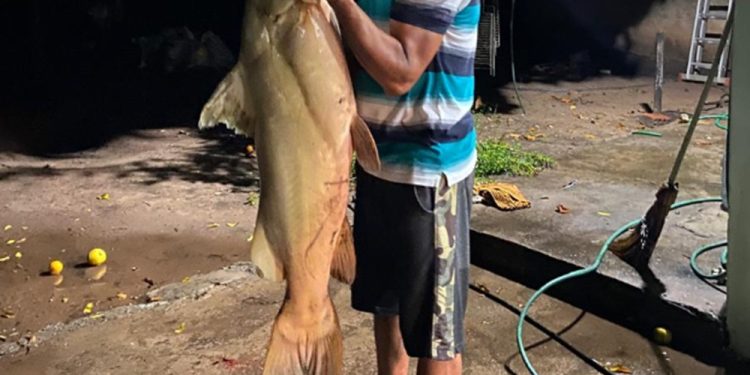 Servidor público de Coxim fisga jaú de 43 quilos no Rio Taquar